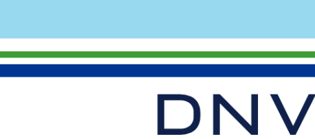 dnv logo 1